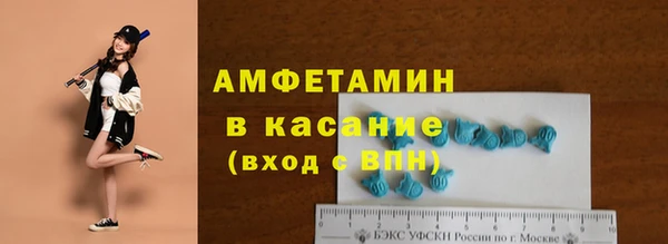 спайс Богданович