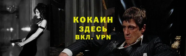 спайс Богданович