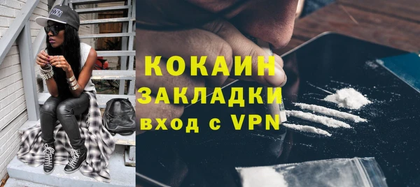 спайс Богданович
