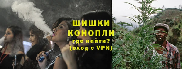 спайс Богданович